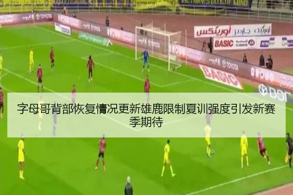 字母哥背部恢复情况更新雄鹿限制夏训强度引发新赛季期待